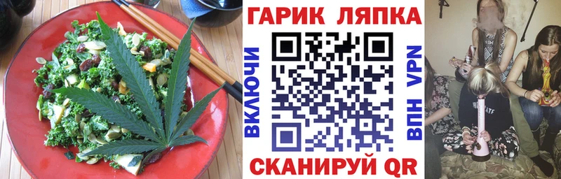 Купить где Закаменск Canna-Cookies марихуана