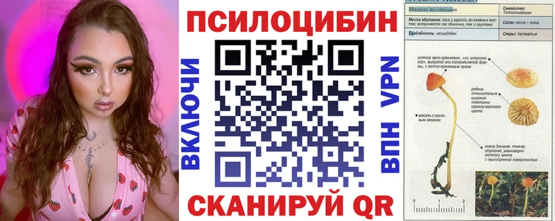 Купить закладки  Закаменск  Псилоцибиновые грибы Psilocybine cubensis 